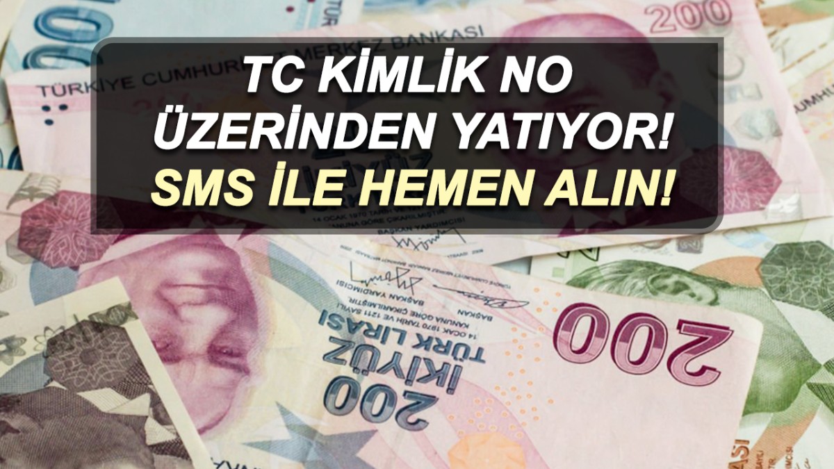 11 haneli TC kimlik no üzerinden 15.750 TL devlet destekli ödeme alınıyor! Hemen başvuru yapın!
