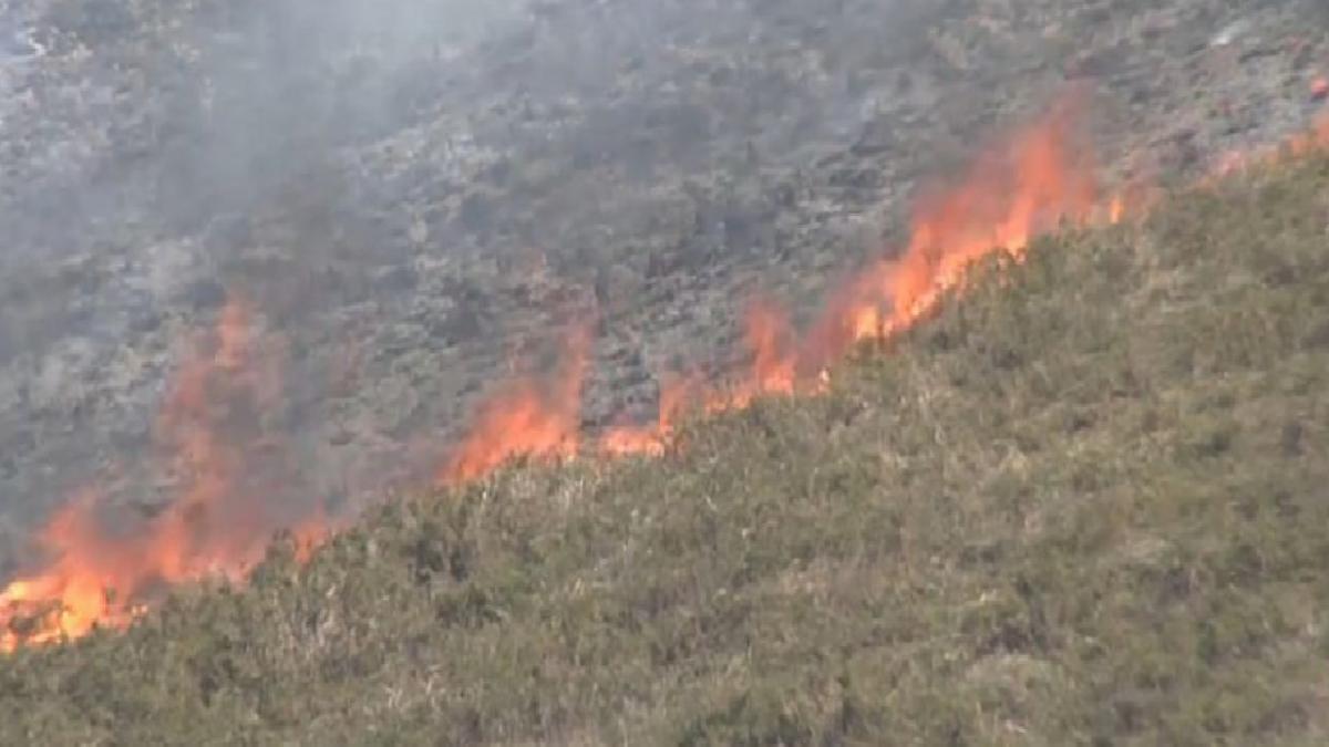 Yetkililer, kuzey İspanya'daki orman yangınlarının arkasında kundaklama olduğunu söylüyor